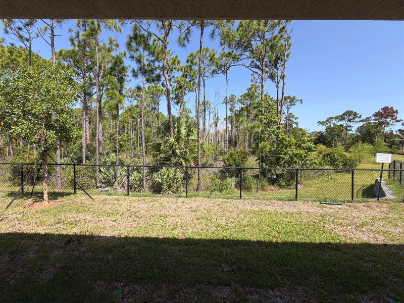 Lot 6 backyard Lot 6 backyard