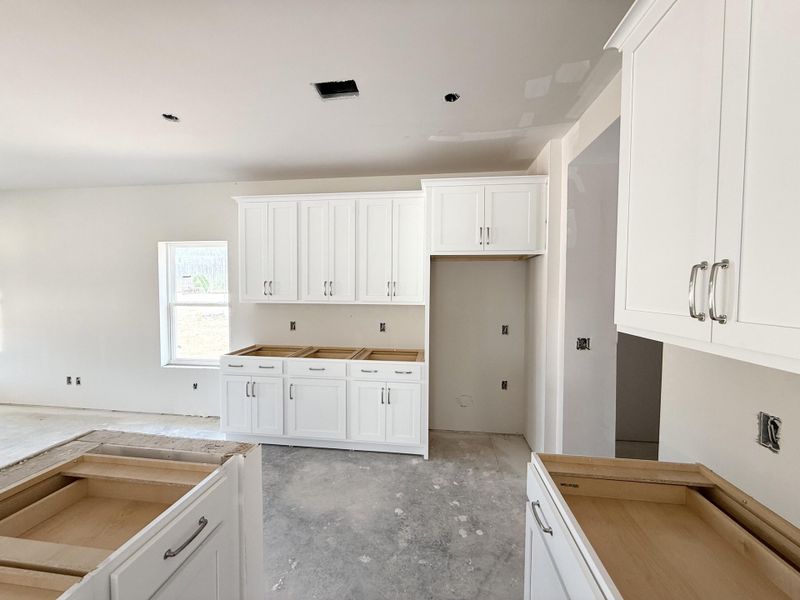 In-progress construction of a new home in , Summerville, SC (Image 48).