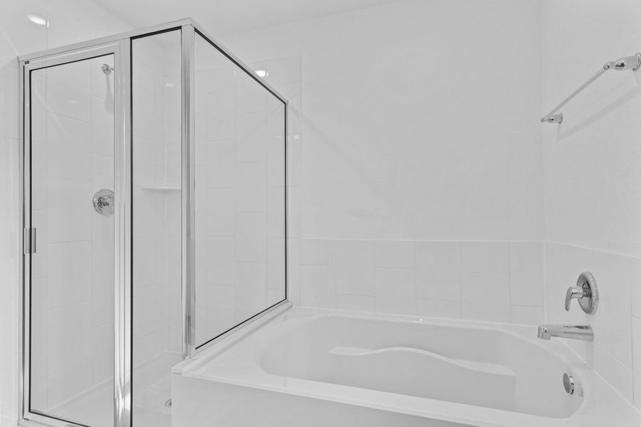 Representative Photo