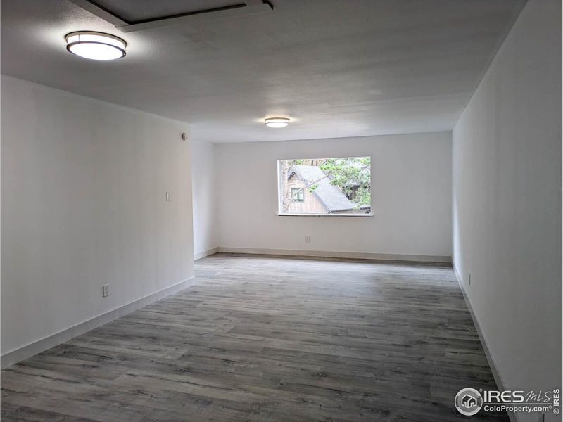 Upstairs Bonus/Flex Room