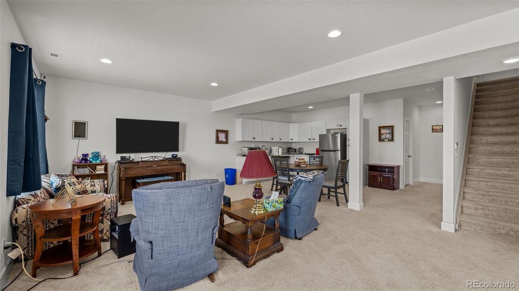 Basement Living Room