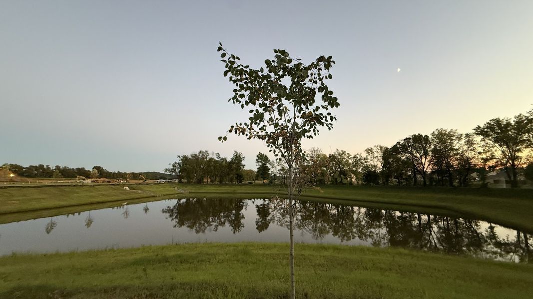Natural landscape and outdoor views near Robinson Meadows in Murfreesboro (Image 3).