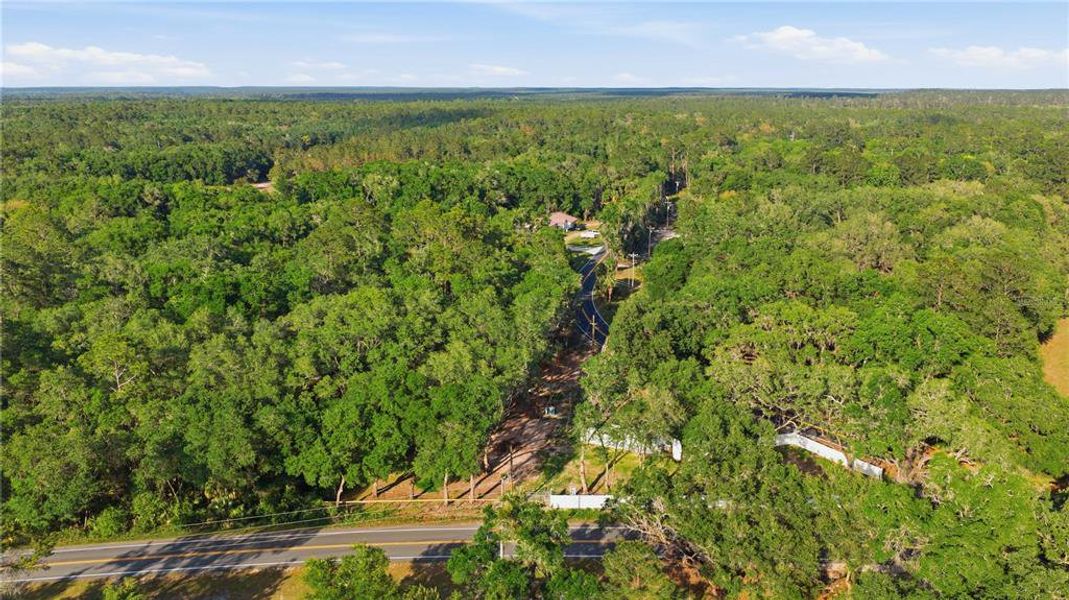Natural landscape and outdoor views near  in Ocklawaha (Image 24).