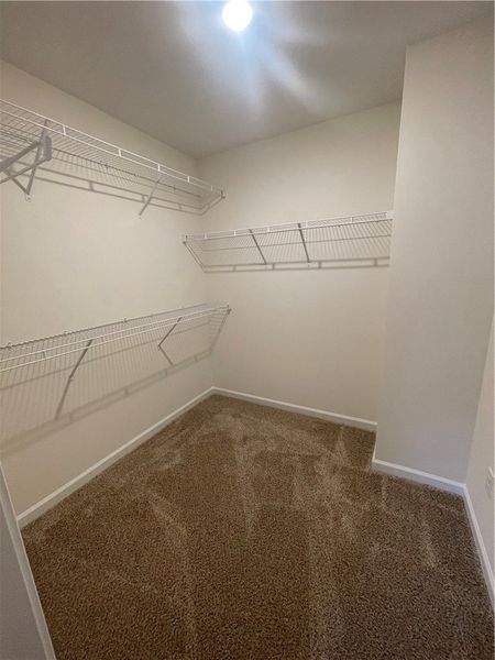 Spacious, unfurnished interior of a new home in Springwood Grove, Central (Image 38).