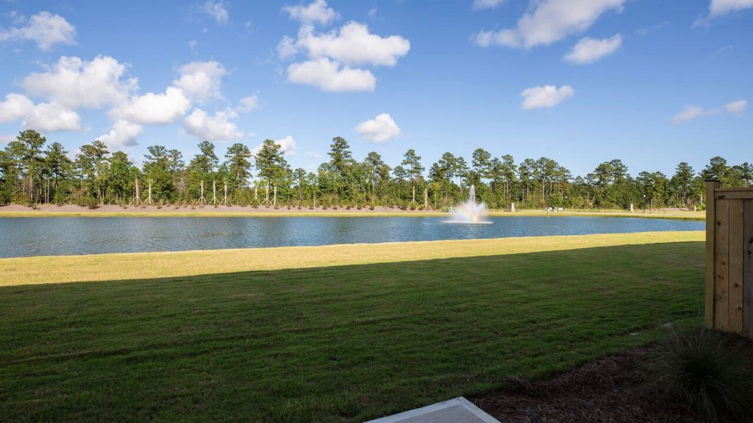 Outdoor and nature views near homes built from the Plan by D.R. Horton in Indigo Preserve, Leland (Image 8).