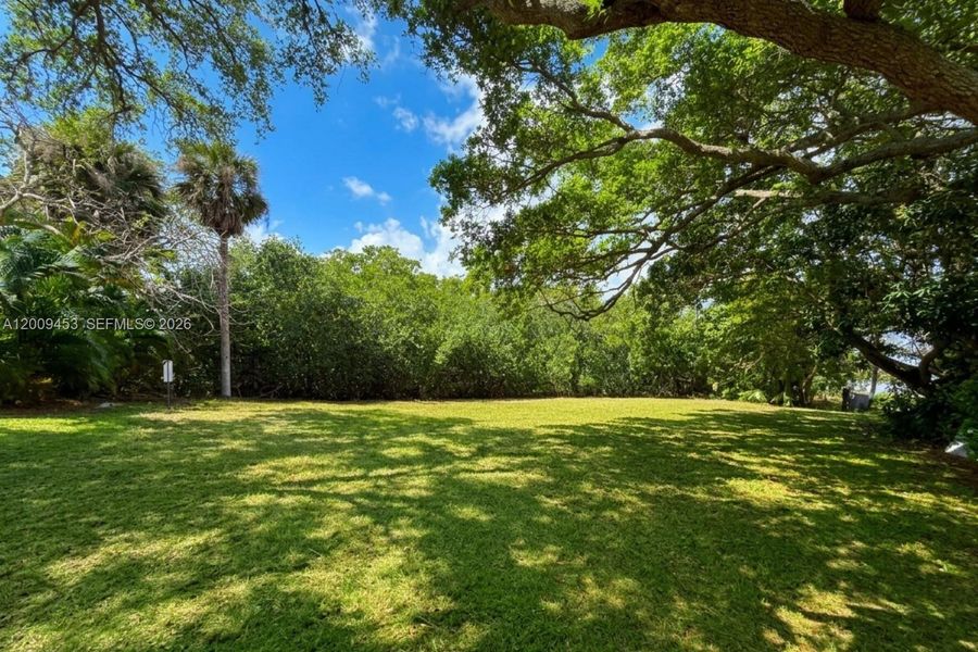 Natural landscape and outdoor views near  in Jupiter (Image 9).