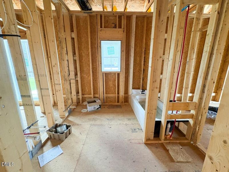 Photo Mar 23 2026, 2 46 15 PM (Medium)