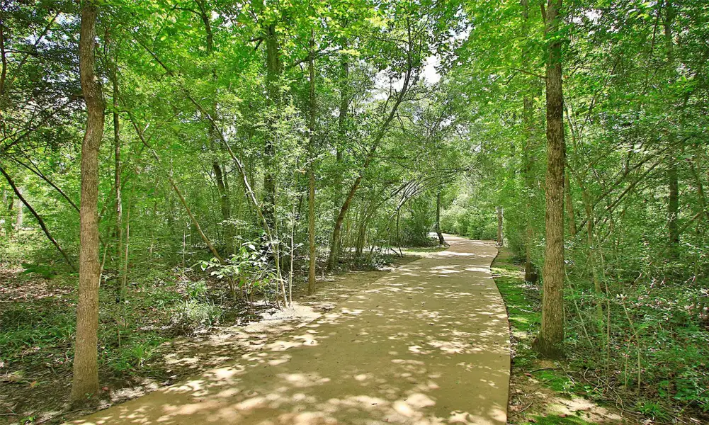 Image 32 of a home in The Woodlands Hills.