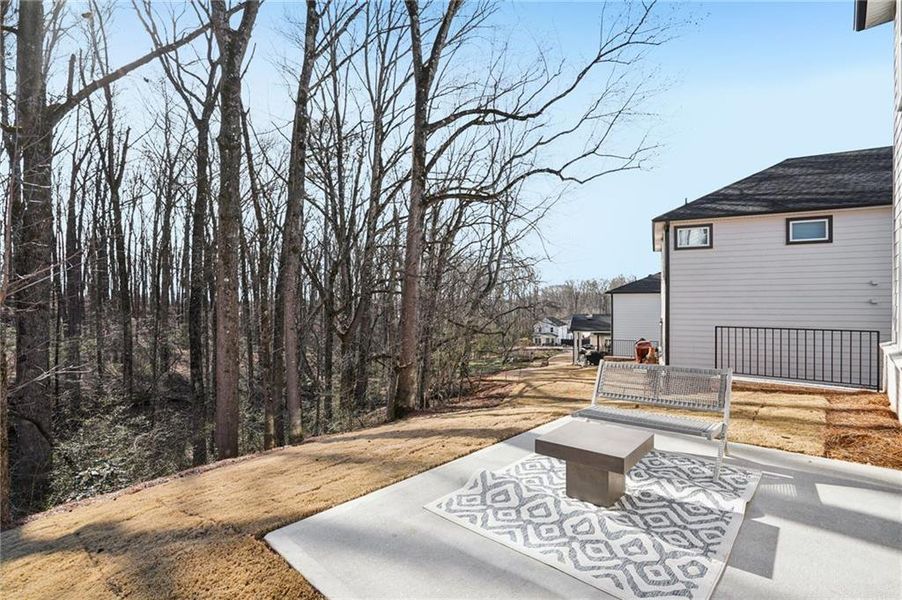 Exterior details and patio area of a home in Hemingway - Reserve Series, Cumming (Image 28). Exterior details and patio area of a home in Hemingway - Reserve Series, Cumming (Image 28).