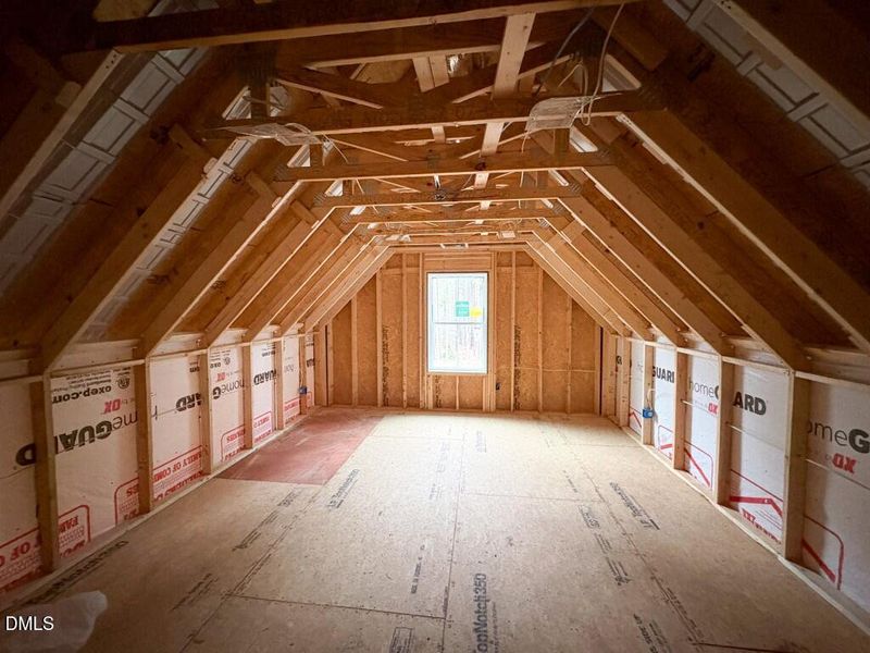 Photo Dec 29 2025, 11 44 31 AM (Medium)