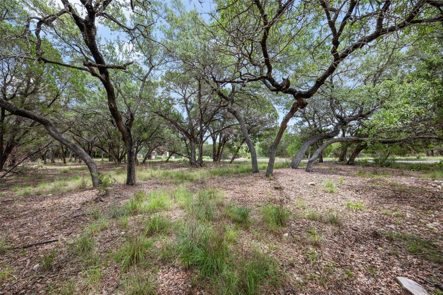 Mature trees shade this generous lot, offering a private, wooded setting. Mature trees shade this generous lot, offering a private, wooded setting.