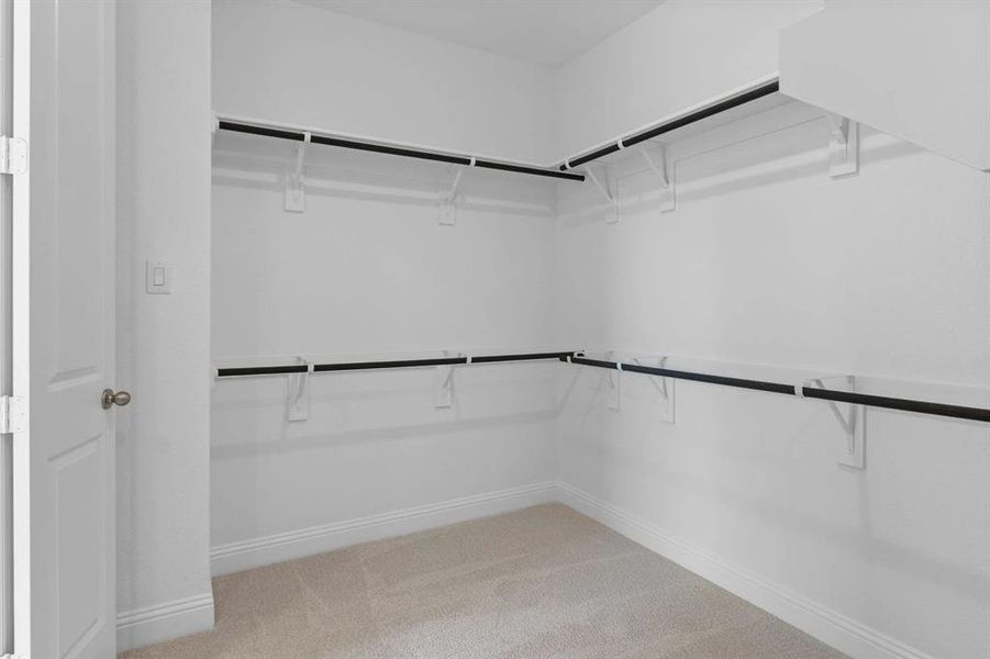 DAL_Dominion_Easton_343 Torch Lily Lane (23) DAL_Dominion_Easton_343 Torch Lily Lane (23)