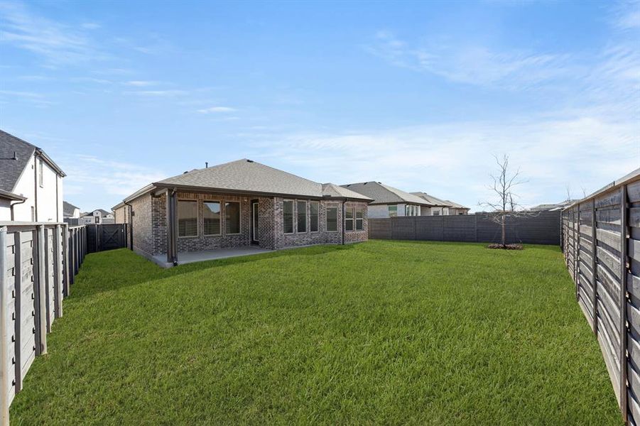 28. 7245 Ladybug - Back (2)