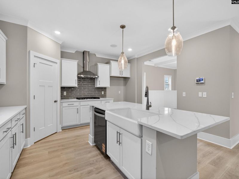 Furnished interior view inside a new home in Collins Cove, Chapin (Image 10).