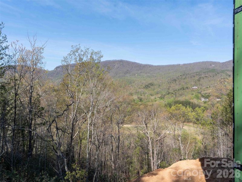 Natural landscape and outdoor views near  in Mill Spring (Image 32).