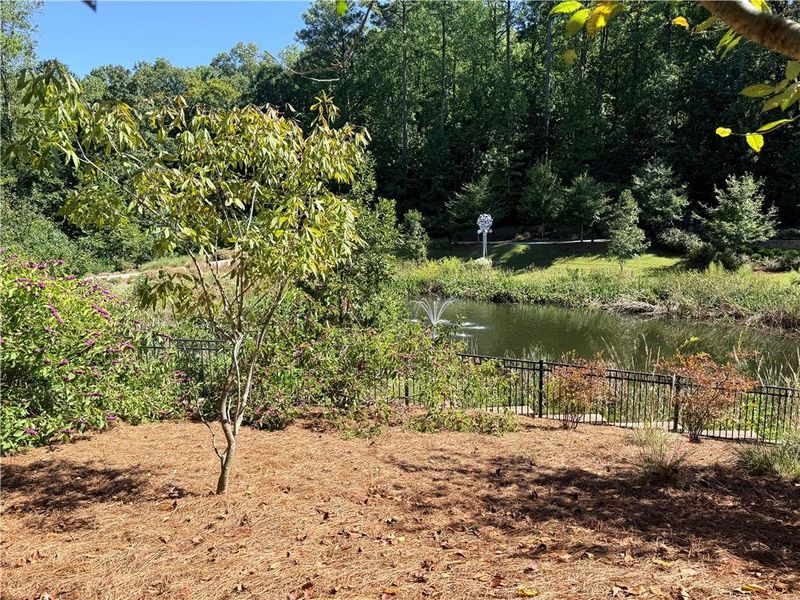 Natural landscape and outdoor views near  in Alpharetta (Image 67).