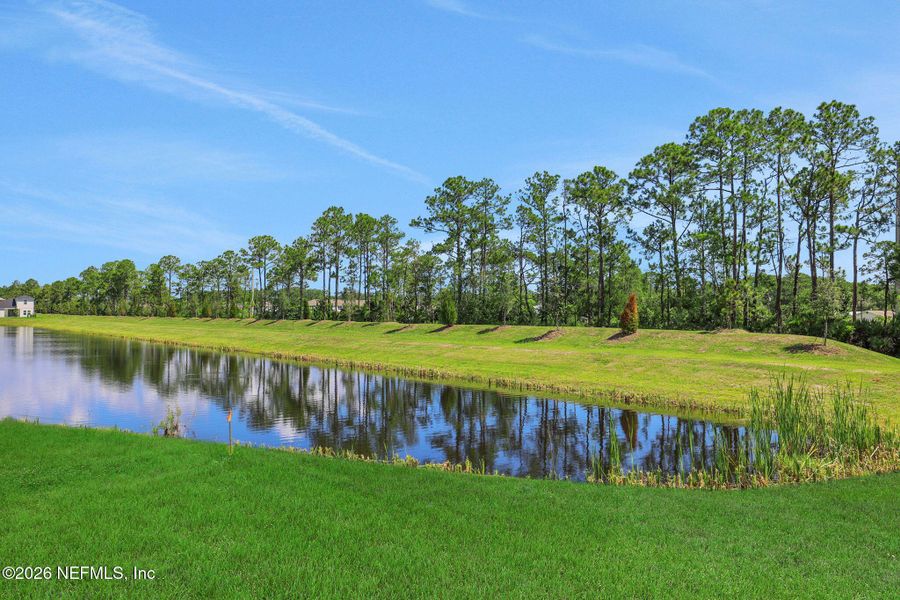 Natural landscape and outdoor views near Cordova Palms in St. Augustine (Image 40). Natural landscape and outdoor views near Cordova Palms in St. Augustine (Image 40).