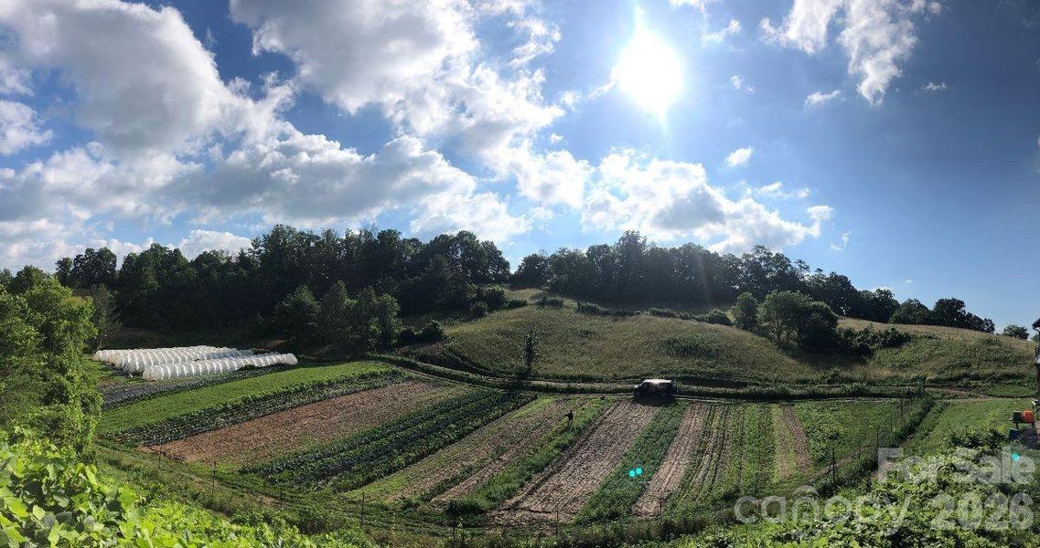 Natural landscape and outdoor views near  in Asheville (Image 39).