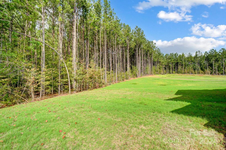 Wooded Homesite