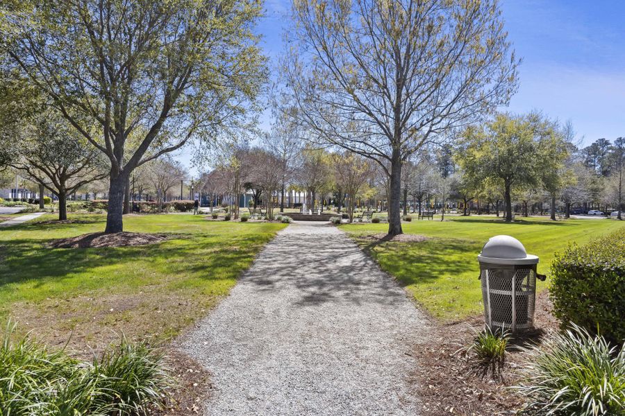 Natural landscape and outdoor views near  in Summerville (Image 60).