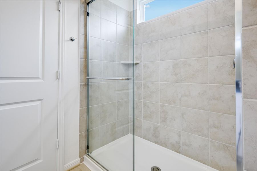 21834 Red Lantana ~ Ready Now 21834 Red Lantana ~ Ready Now