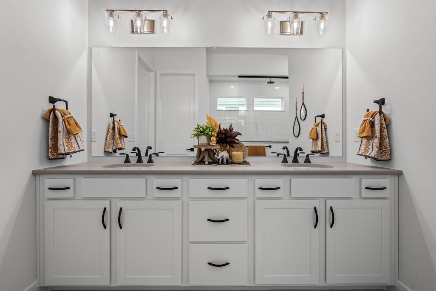 Owner's Bath Owner's Bath