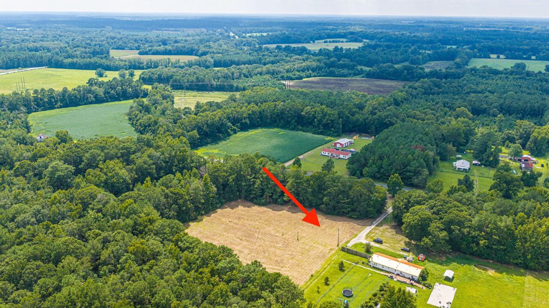 Natural landscape and outdoor views near  in Holly Hill (Image 54).
