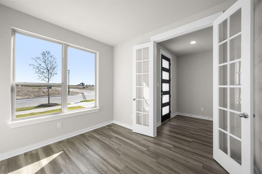 5_8921 Acorn- Study-1 5_8921 Acorn- Study-1