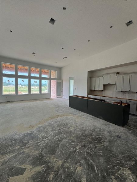 14Ft Ceilings with multiple windows