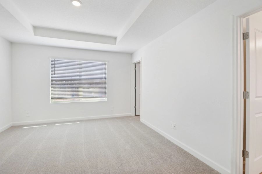 Generous primary suite features a tray ceiling and expansive windows