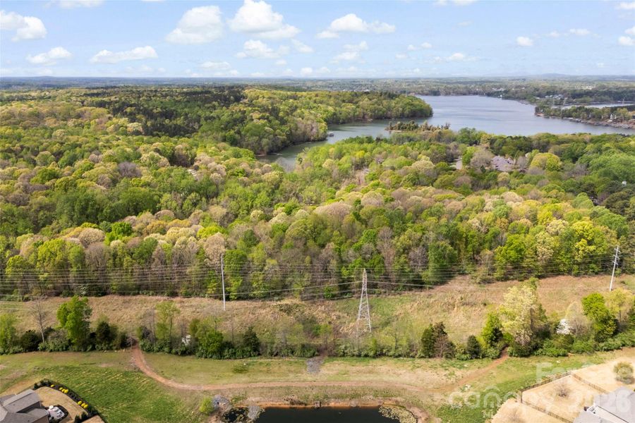 Natural landscape and outdoor views near  in Charlotte (Image 12).