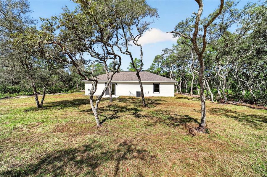 Natural landscape and outdoor views near  in Ocklawaha (Image 32).