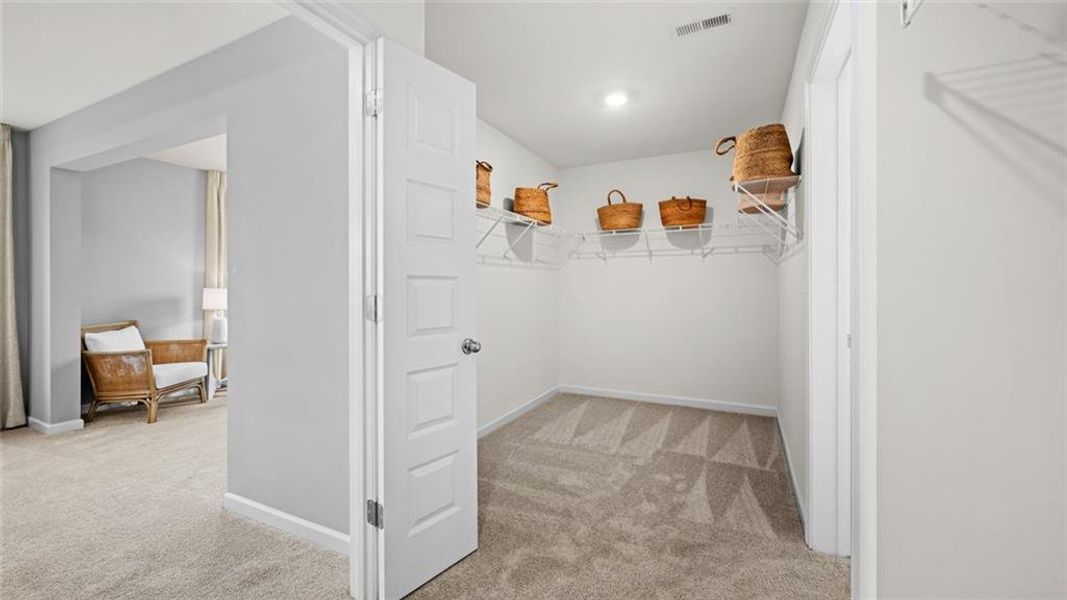 Spacious, unfurnished interior of a new home in Westland, Bogart (Image 16).