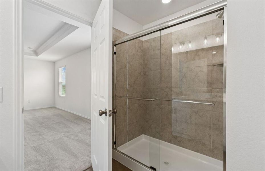 Modern owner's bath with spacious shower