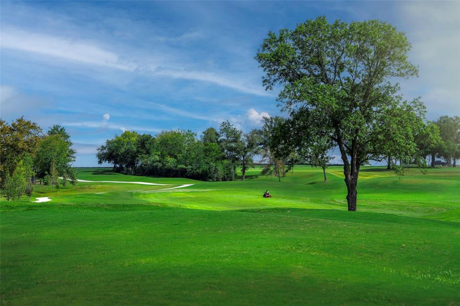 Image 13 of a home in Gatherings® at Chambers Creek: Signature Collection.