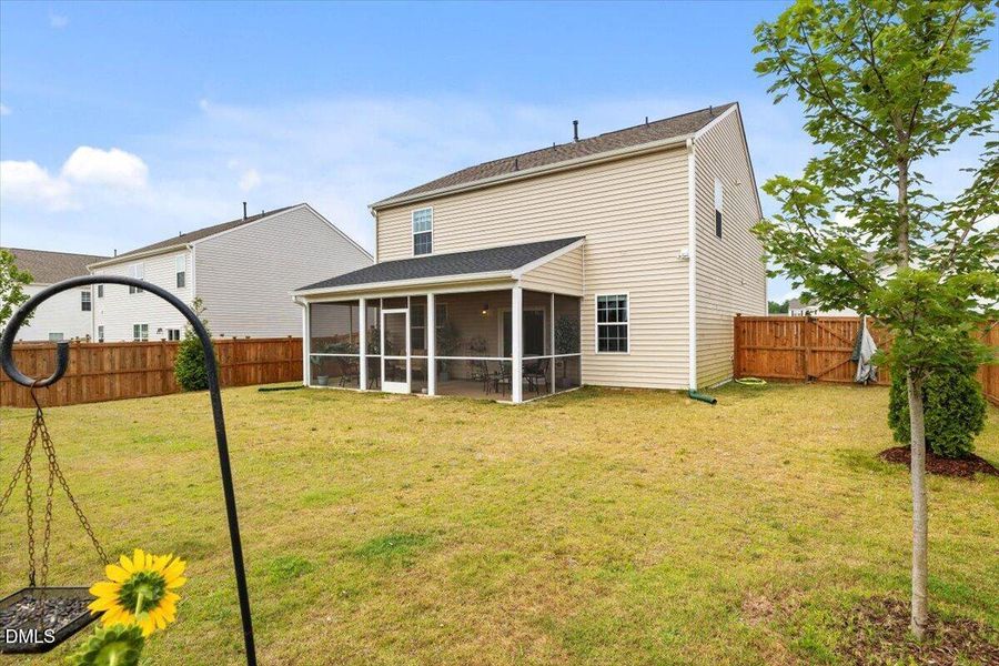 269 Blue Aspen Dr. Yard 1 269 Blue Aspen Dr. Yard 1