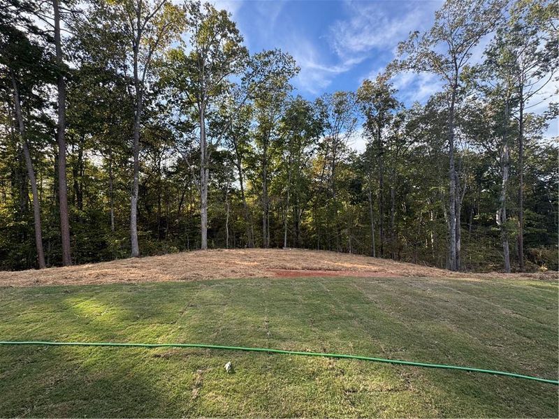 Natural landscape and outdoor views near Tuscany Hills in Douglasville (Image 30). Natural landscape and outdoor views near Tuscany Hills in Douglasville (Image 30).