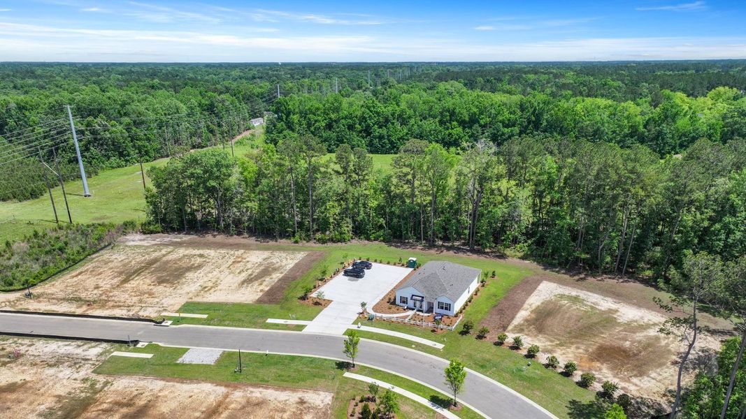 Site preparation for new homesites in Pineview North, Summerville (Image 19).