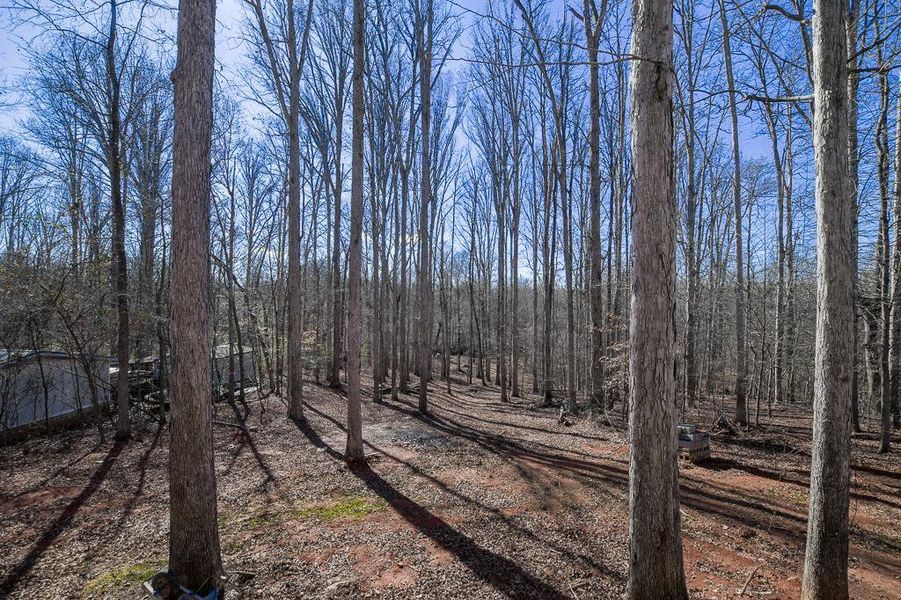 Natural landscape and outdoor views near  in Commerce (Image 32).
