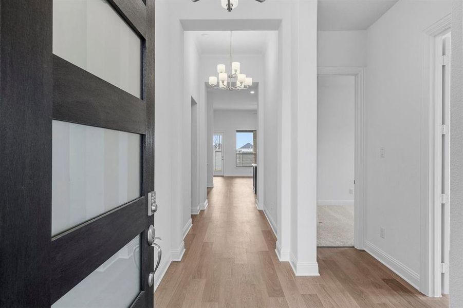 DAL_Painted Tree_Concord_3913 Attwater Street (5) DAL_Painted Tree_Concord_3913 Attwater Street (5)