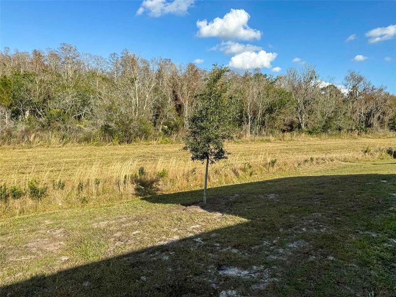 Natural landscape and outdoor views near Harmony Central in Harmony (Image 12).