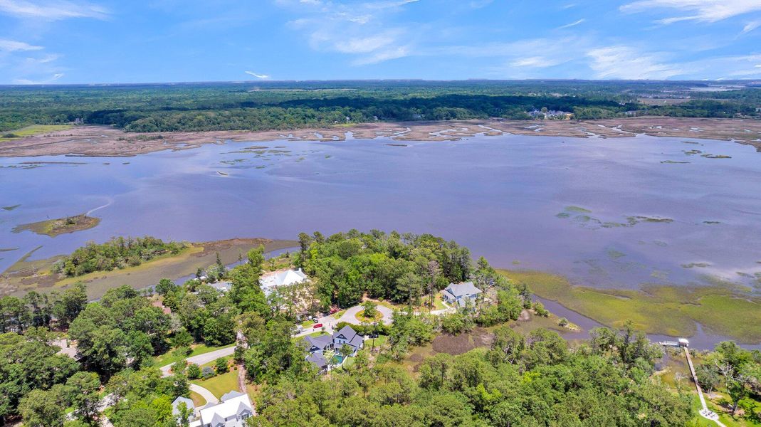 Natural landscape and outdoor views near  in Ravenel (Image 85).