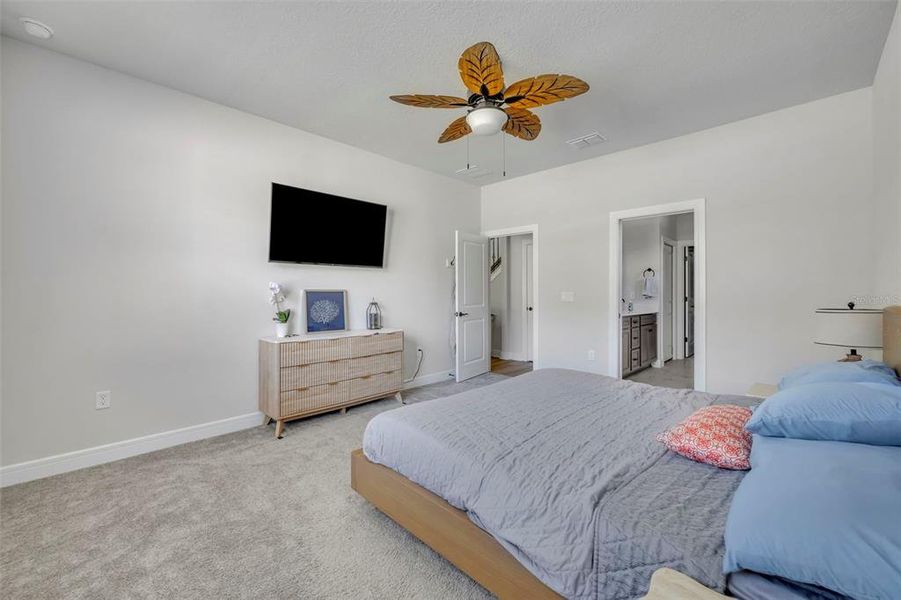 Furnished interior view inside a new home in , Clermont (Image 31).
