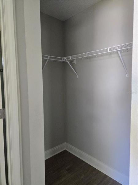 Spacious, unfurnished interior of a new home in , Jacksonville (Image 28).