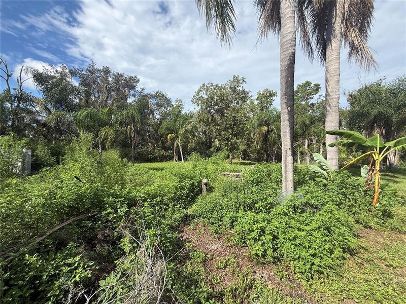 Natural landscape and outdoor views near  in Parrish (Image 15).