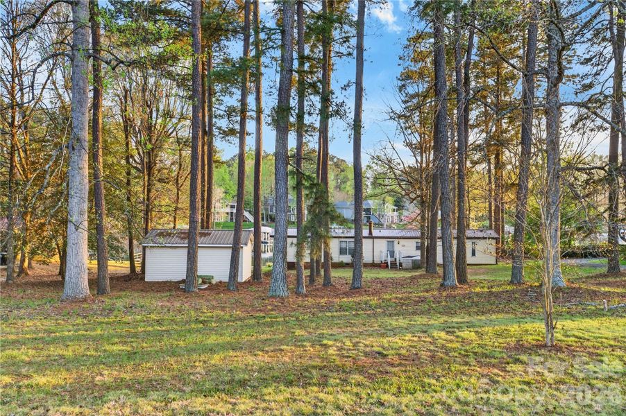 Natural landscape and outdoor views near  in Mooresville (Image 16).