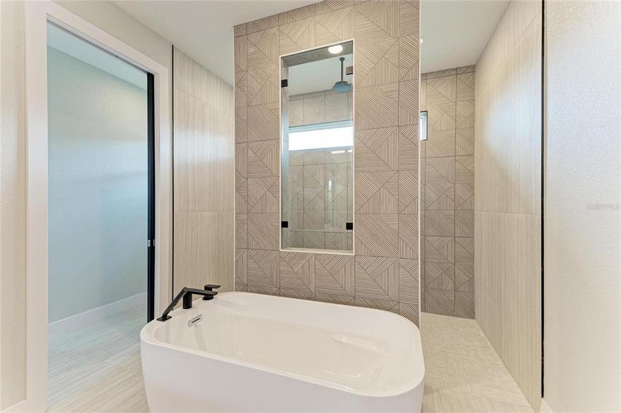 Furnished interior view inside a new home in , Punta Gorda (Image 42). Furnished interior view inside a new home in , Punta Gorda (Image 42).