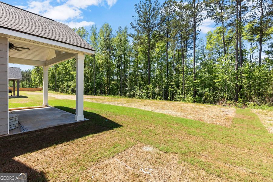 Exterior details and patio area of a home in Juliette Crossing, Forsyth (Image 30).