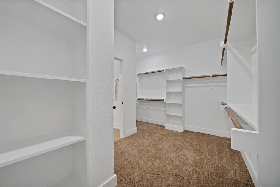 Walk in closet with carpet flooring