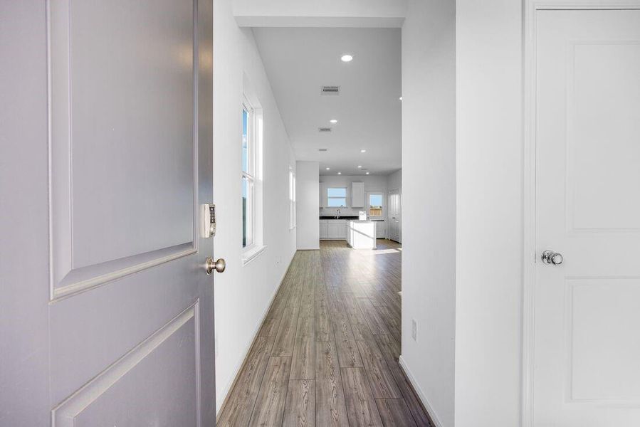 26814 Celestial Cypress ~ Ready Now